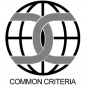 Common Criteria Logo
